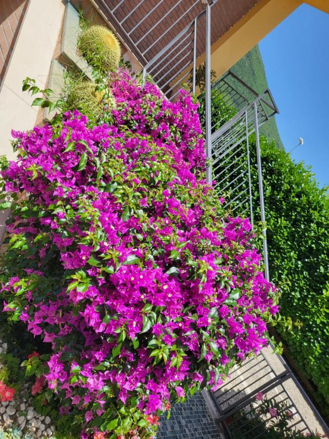 B&B Rossella Montoro Inferiore Εξωτερικό φωτογραφία